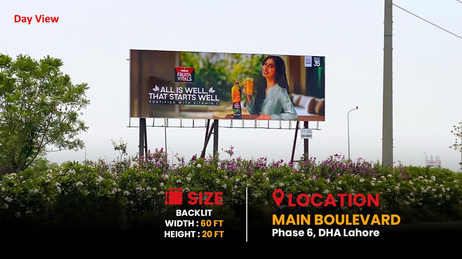 Campaign — Backlit Billboards